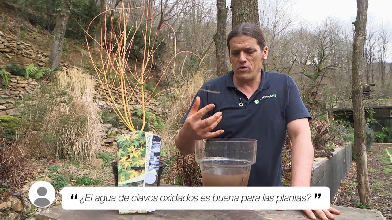 propiedades del clavo de hierro