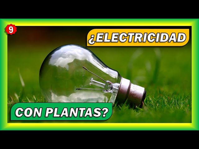 pros y contras de la energia biomasa