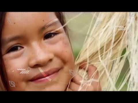 26 de enero día mundial de la educación ambiental actividades