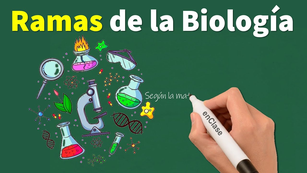 5 subdivisiones de la biologia