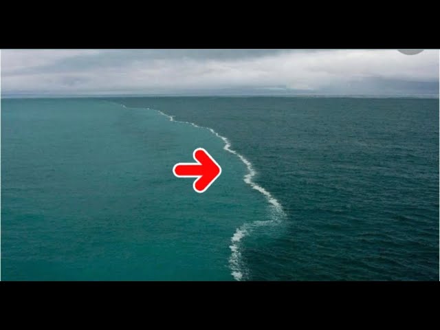 a cuantos grados esta el agua del oceano atlantico