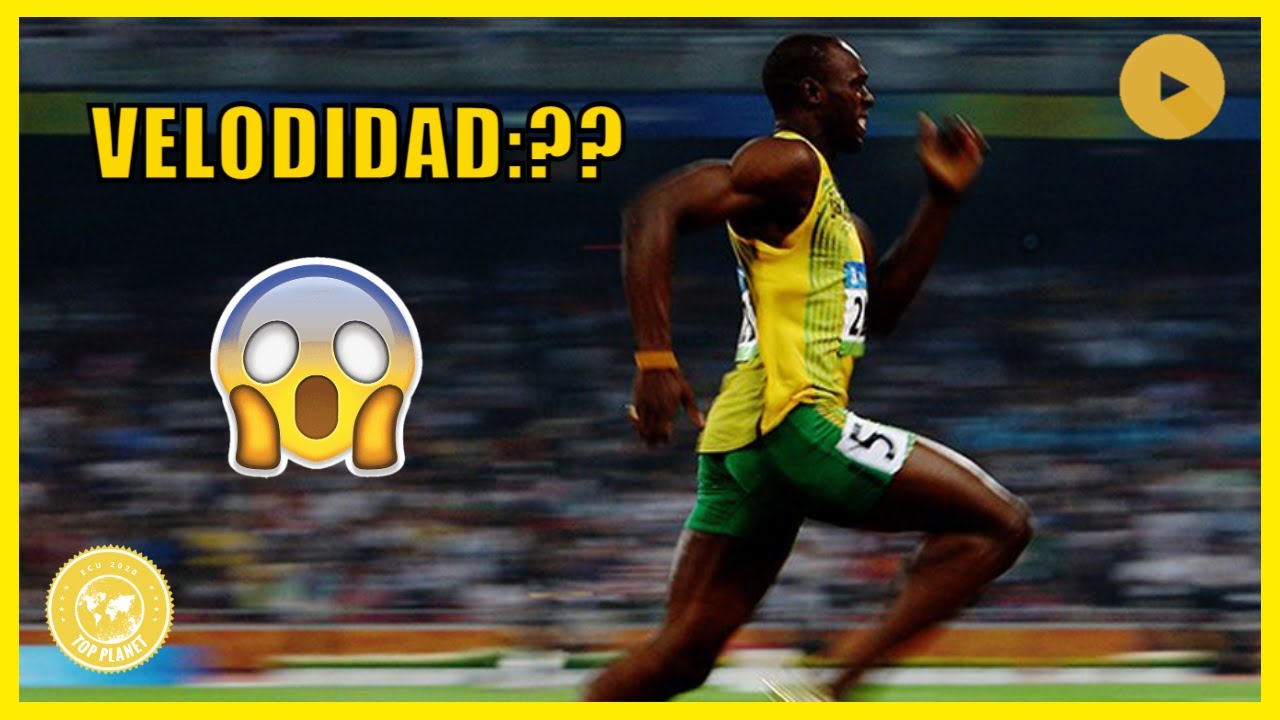 a cuantos kilometros por hora corre usain bolt