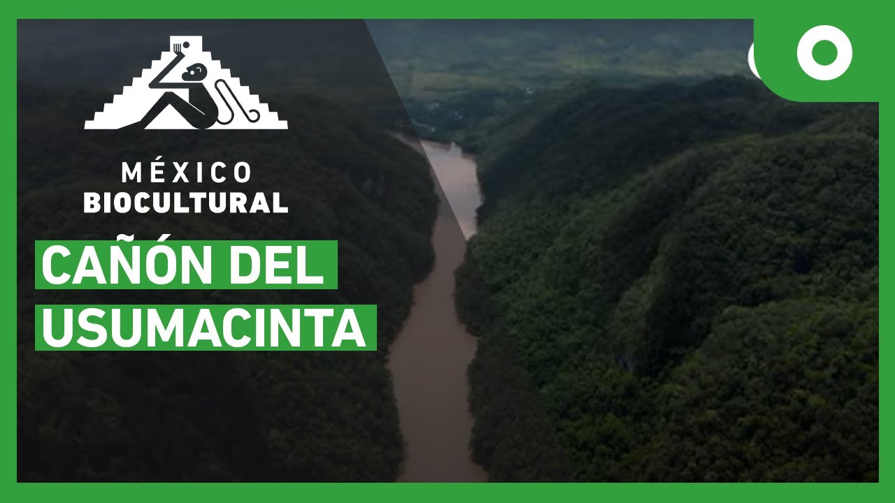 cañon del usumacinta flora y fauna
