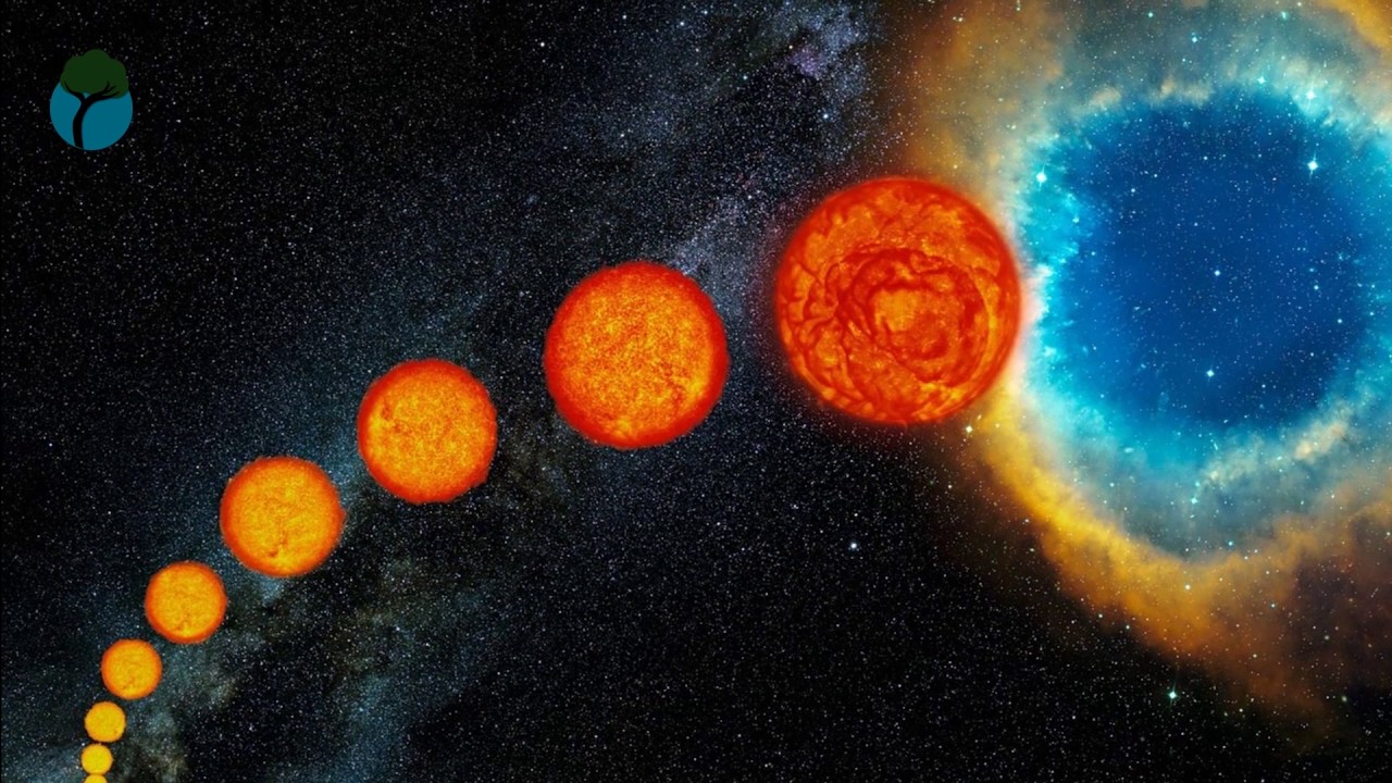 ciclo de vida de una estrella para niños