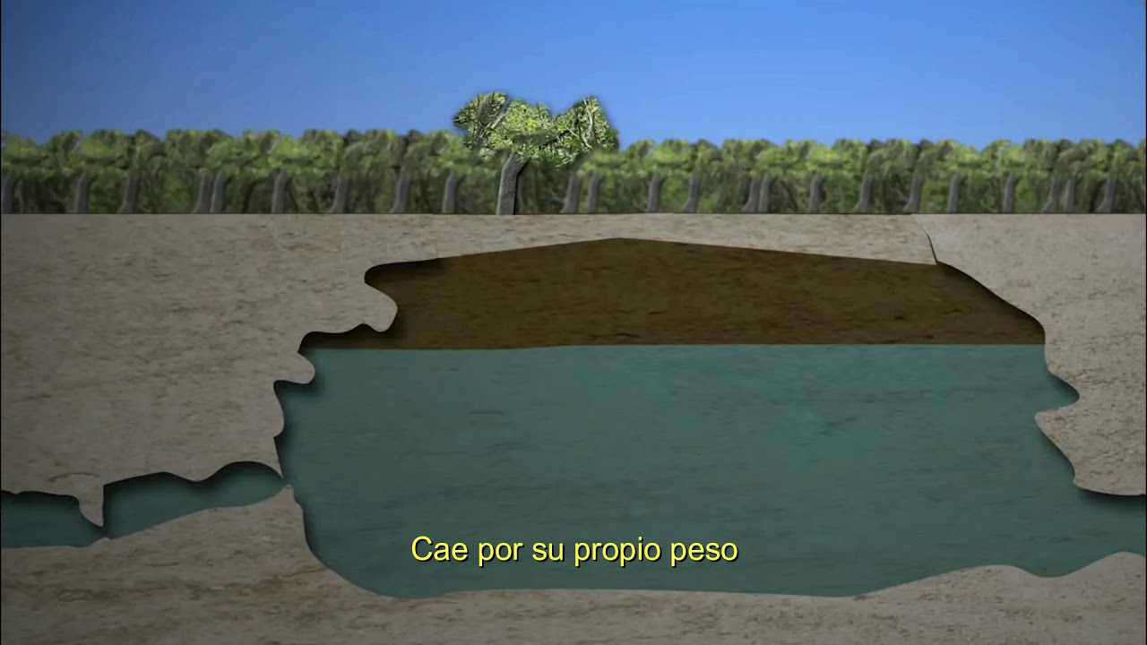 como se formaron los cenotes de yucatan