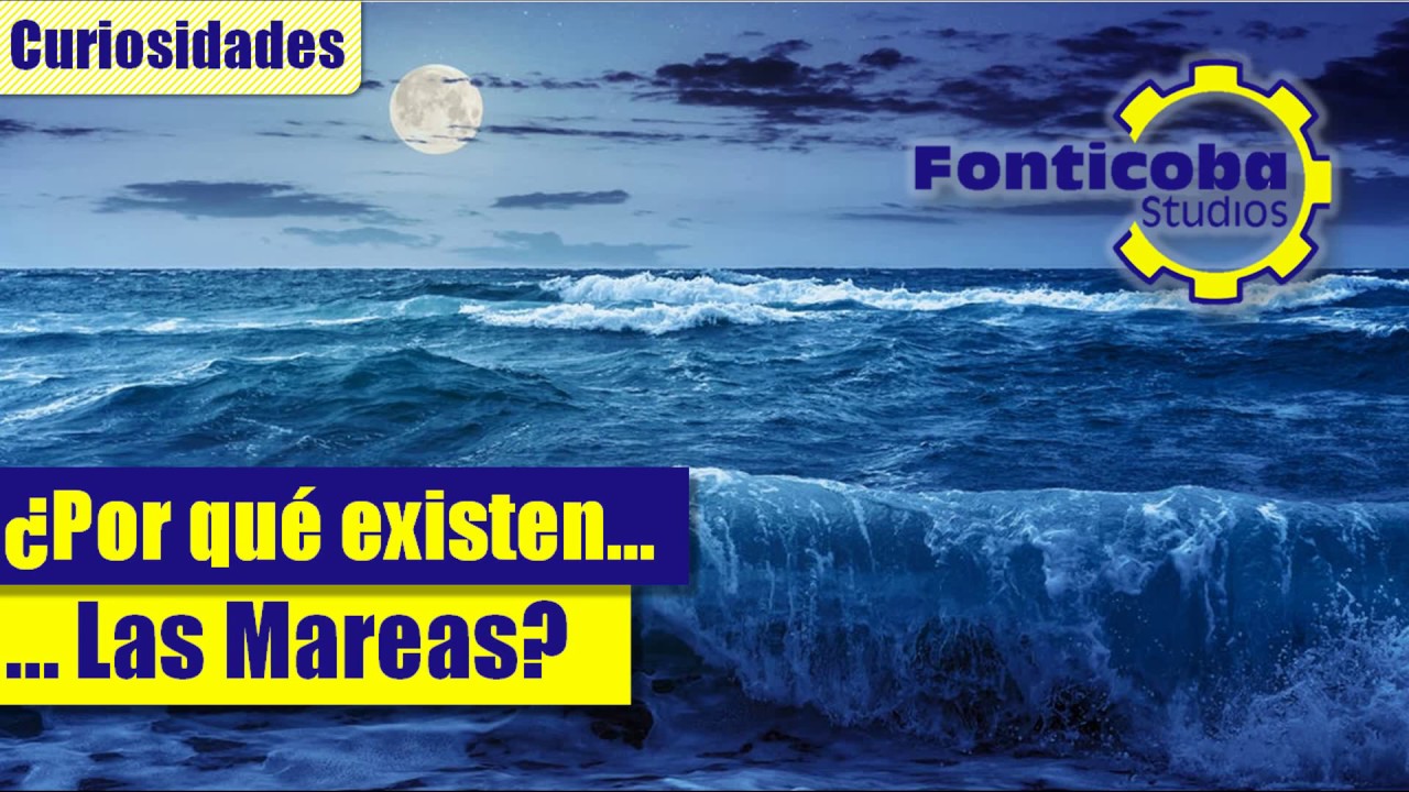 diferencia entre pleamar y bajamar