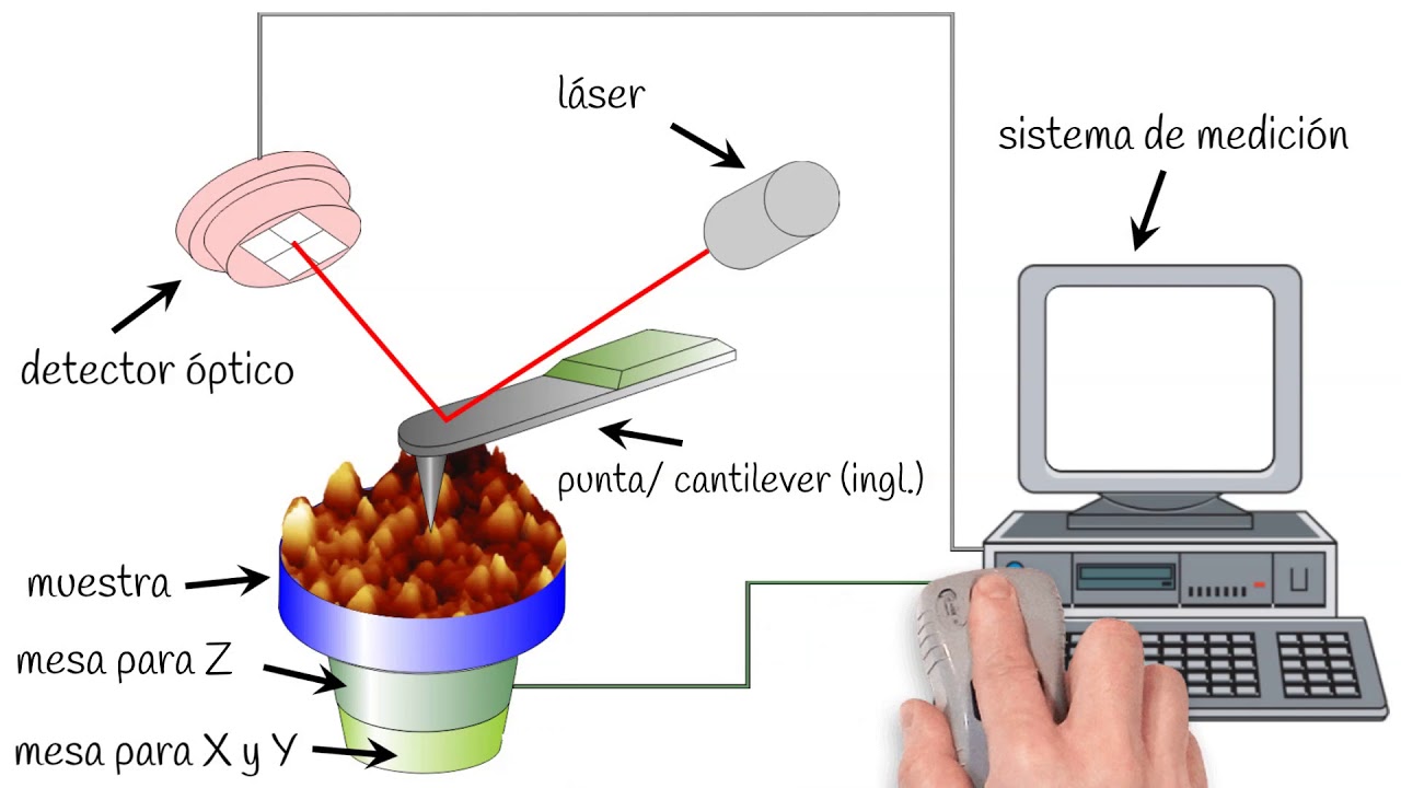 para que se utiliza el microscopio de fuerza atomica