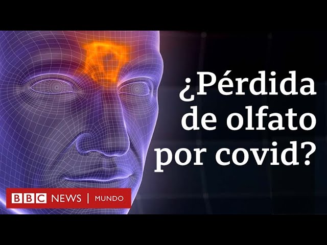 perdida de olfato y gusto por gripe