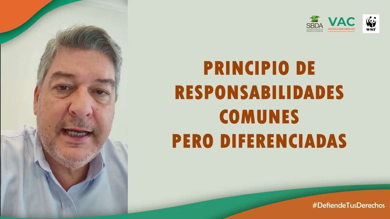 principio de responsabilidad común pero diferenciada