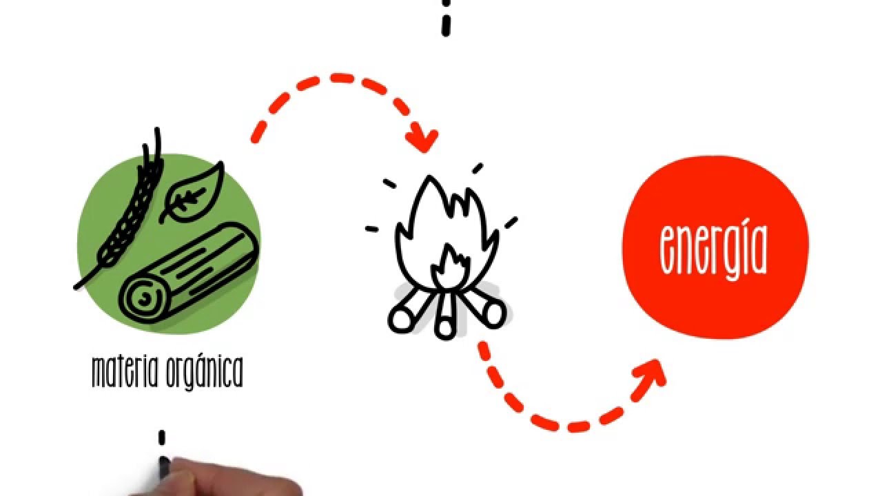 proceso de transformacion de la biomasa en energia electrica