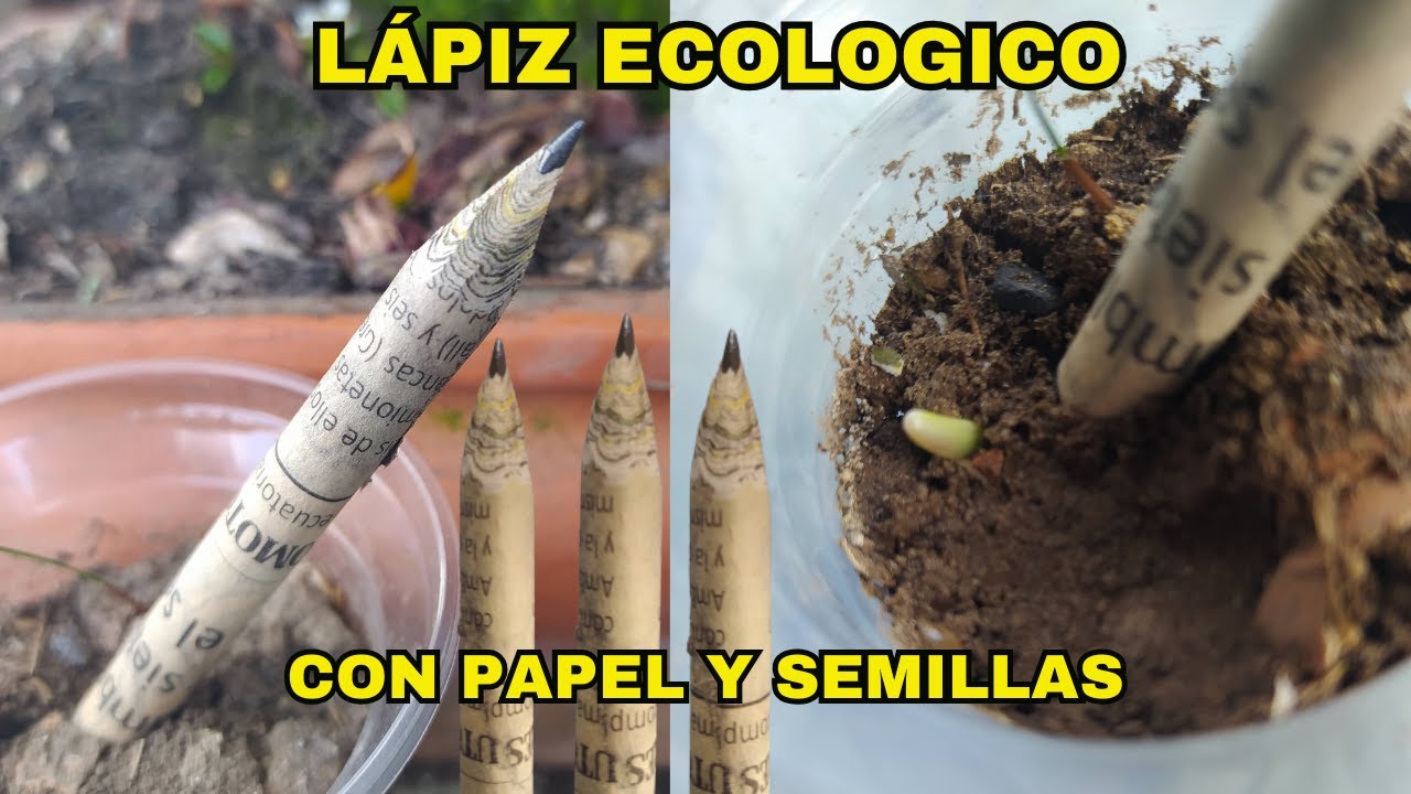 proyectos de reciclaje con periodico