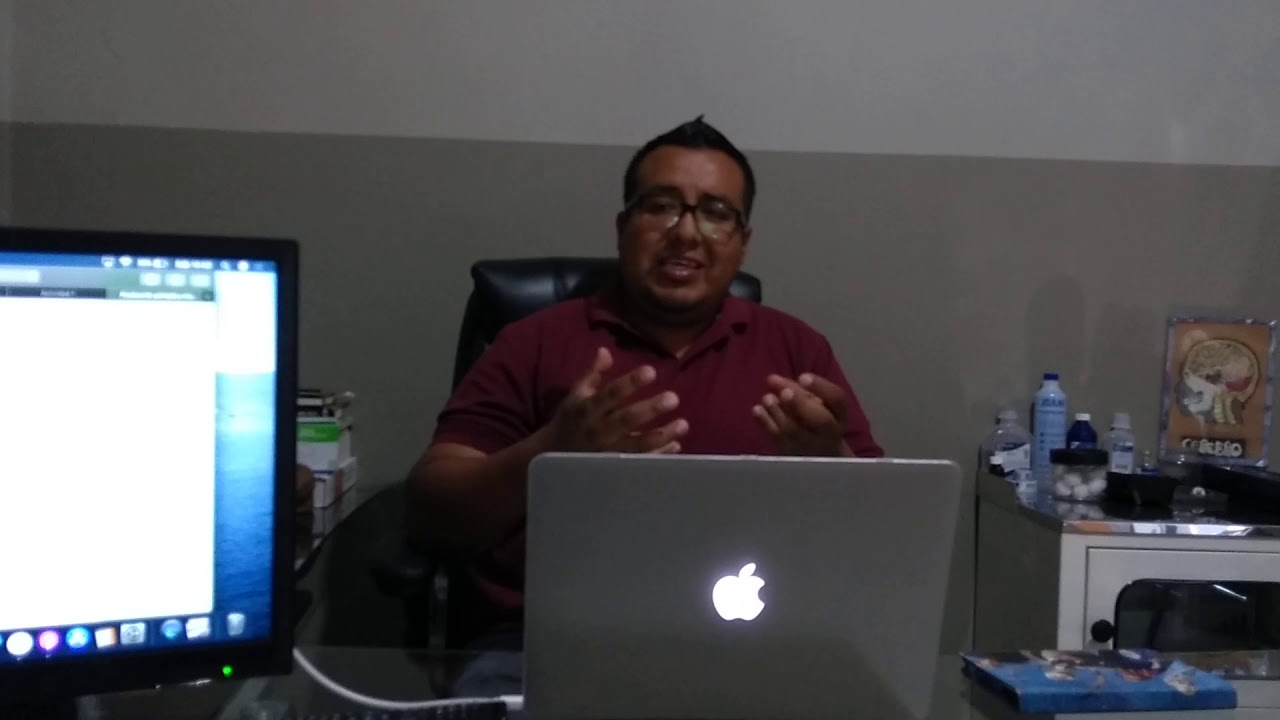 que es la produccion primaria y transferencia de energia