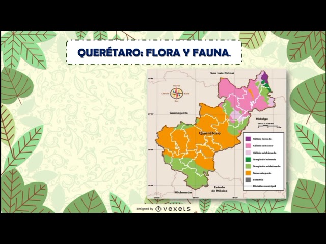 queretaro clima flora y fauna