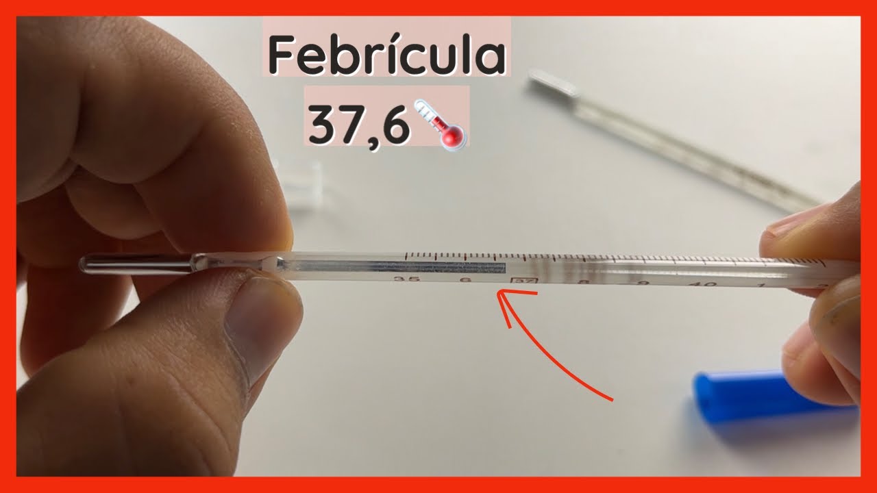 termometro de mercurio y de alcohol