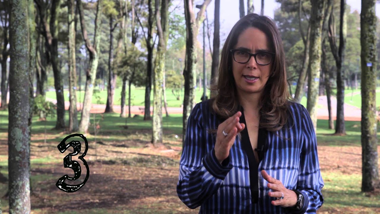 ahorrar energia en el colegio