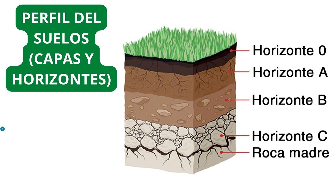 caracteristicas de los horizontes del suelo