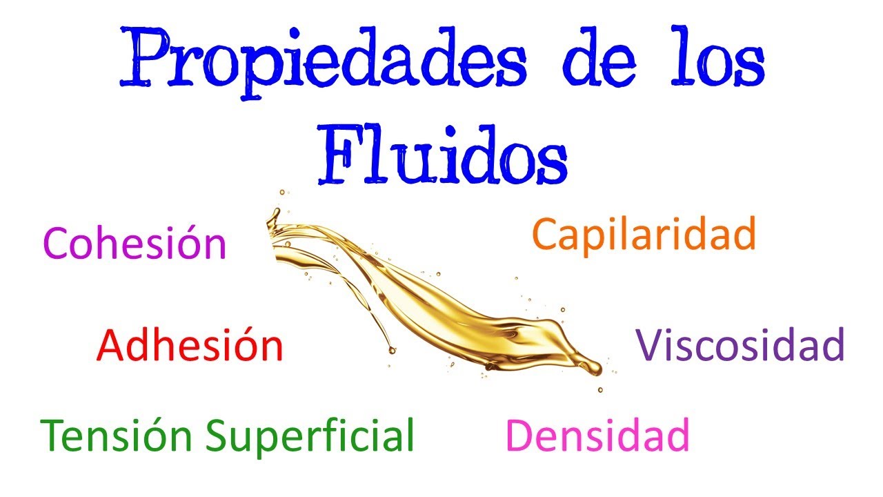 caracteristicas de solidos y fluidos