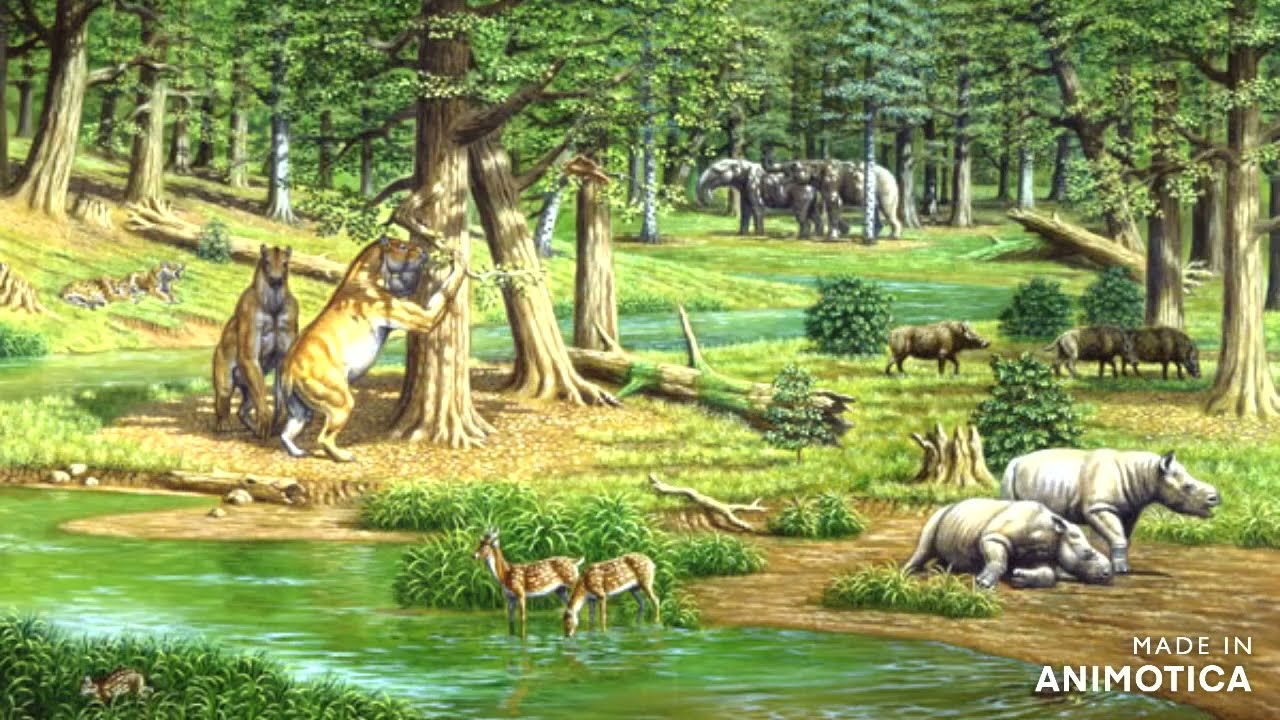 cuales son las caracteristicas de la era cenozoica