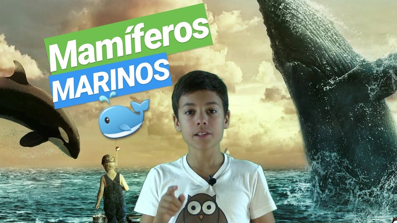 cuales son los animales mamiferos marinos