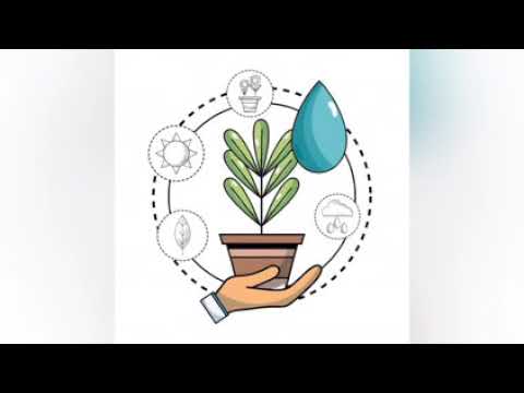 ecologia ambiental areas de aplicacion