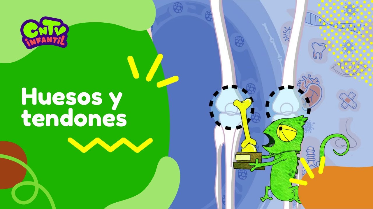 el camaleón y sus naturales ciencias