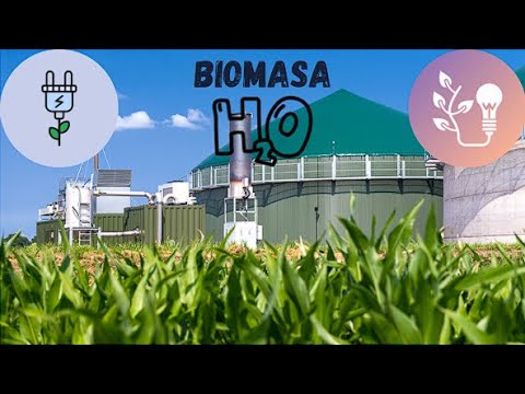 energia biomasa necesidad que satisface