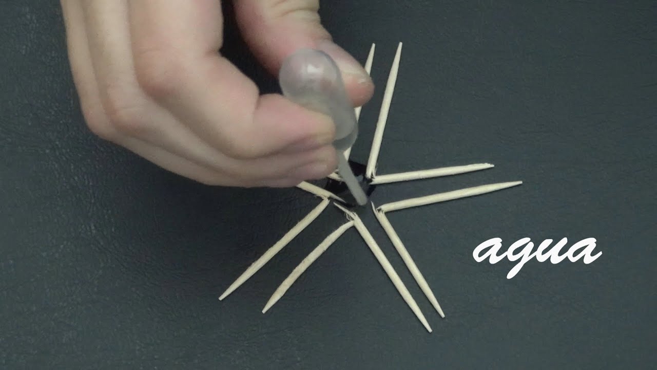 experimento con palillos y agua explicacion