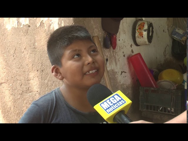 informacion de la lengua mayo