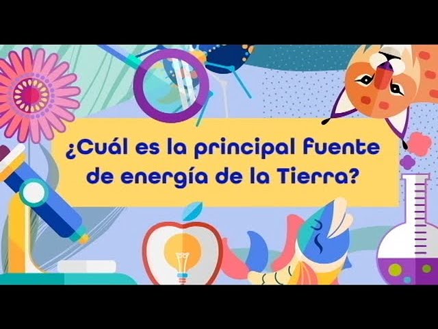 son la principal fuente de energia de nuestro organismo