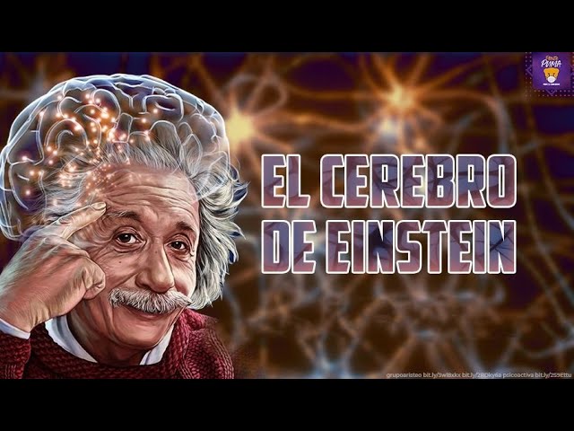 albert einstein porque era tan inteligente