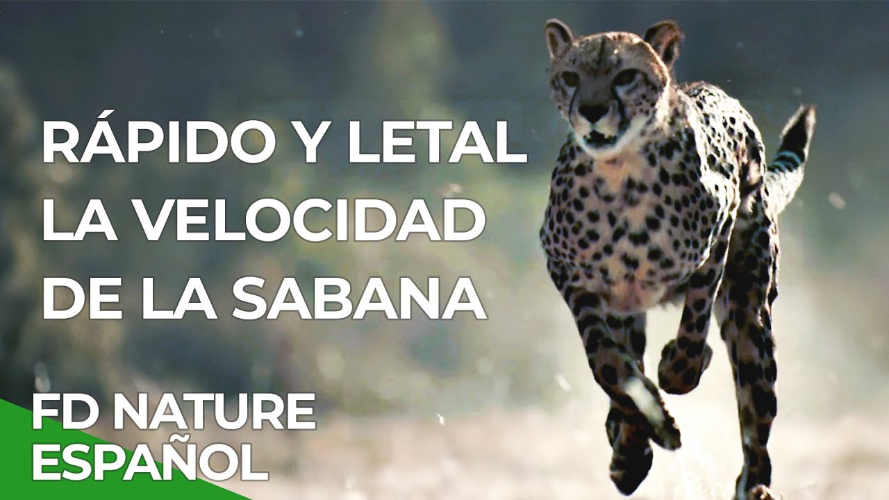 cambios rapidos en la naturaleza
