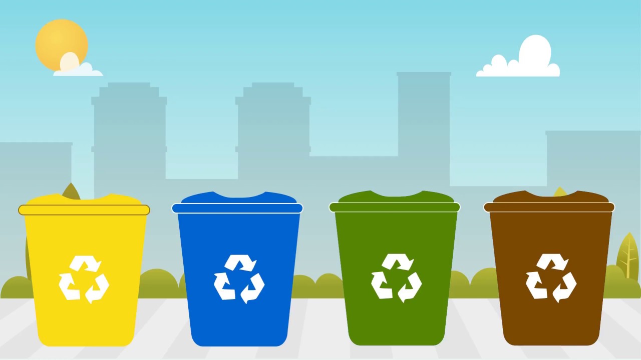 clasificación de los botes de basura