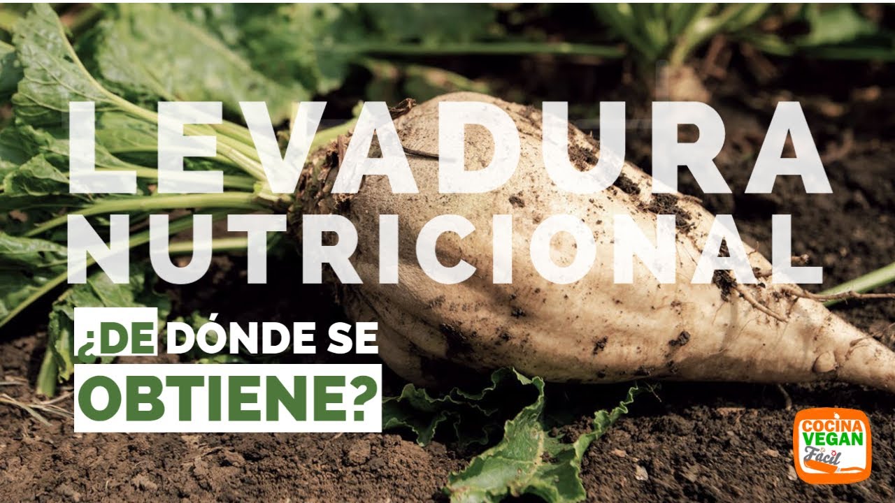 como se obtiene la levadura