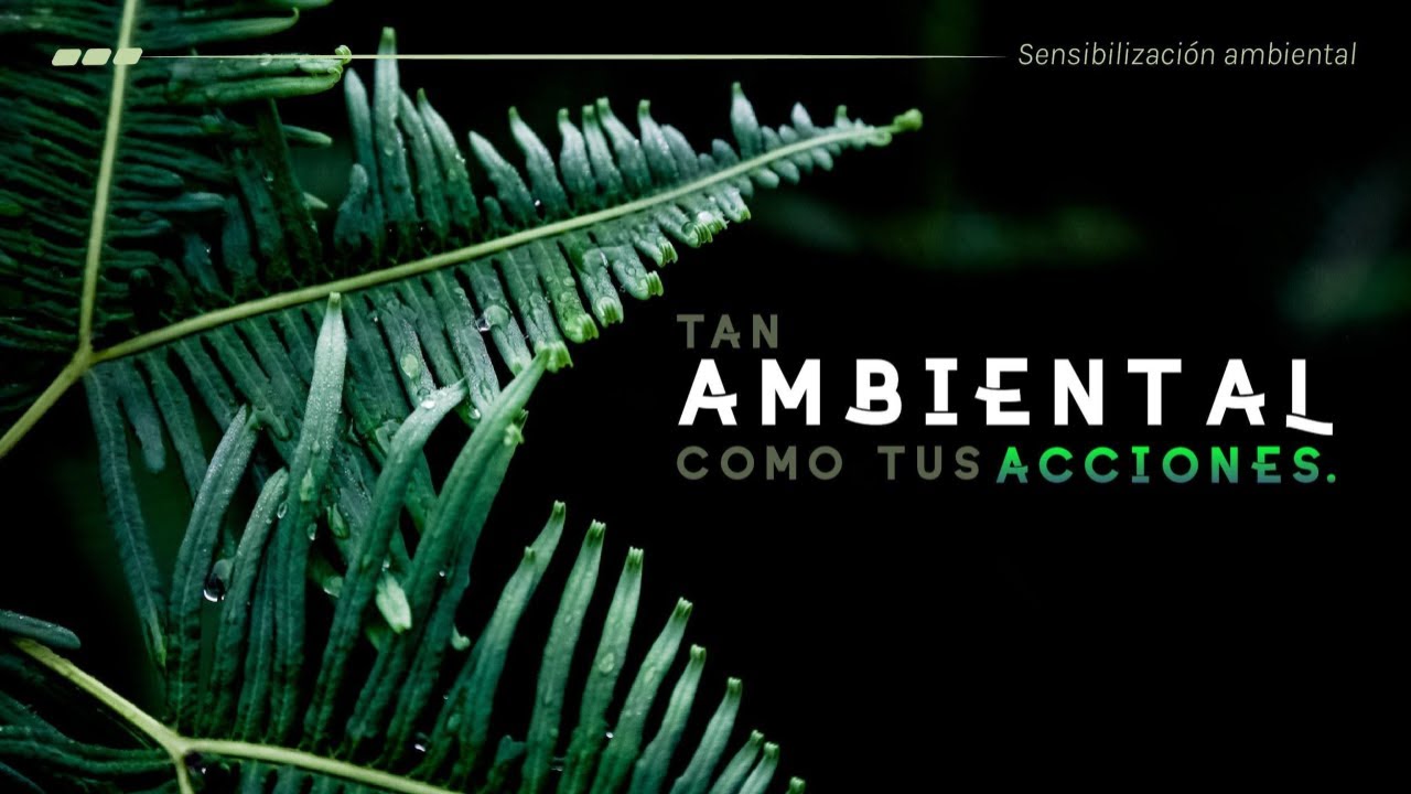 consecuencias del consumo de energia electrica en el medio ambiente