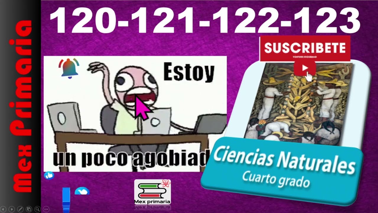 construccion de juguetes de ciencias naturales