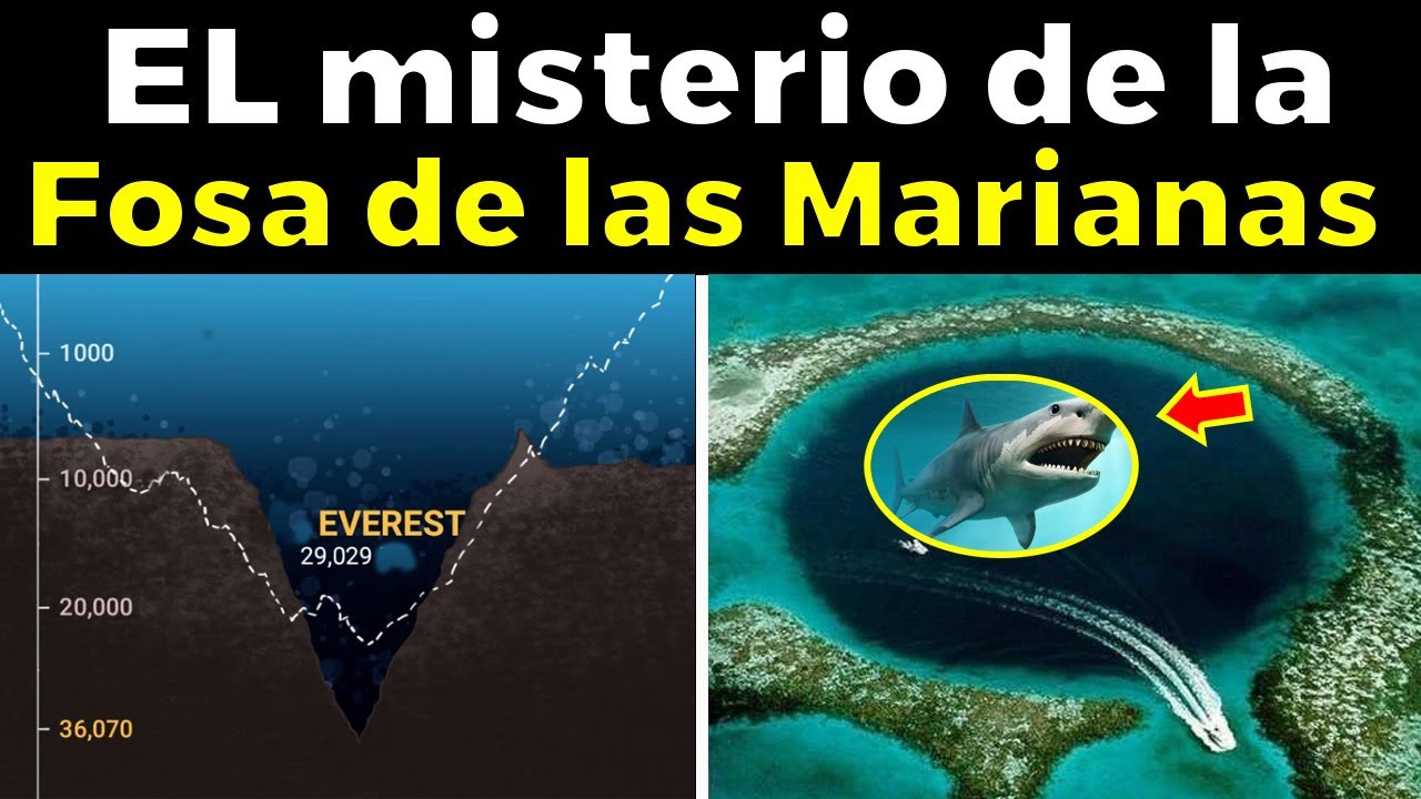 curiosidades de la fosa de las marianas