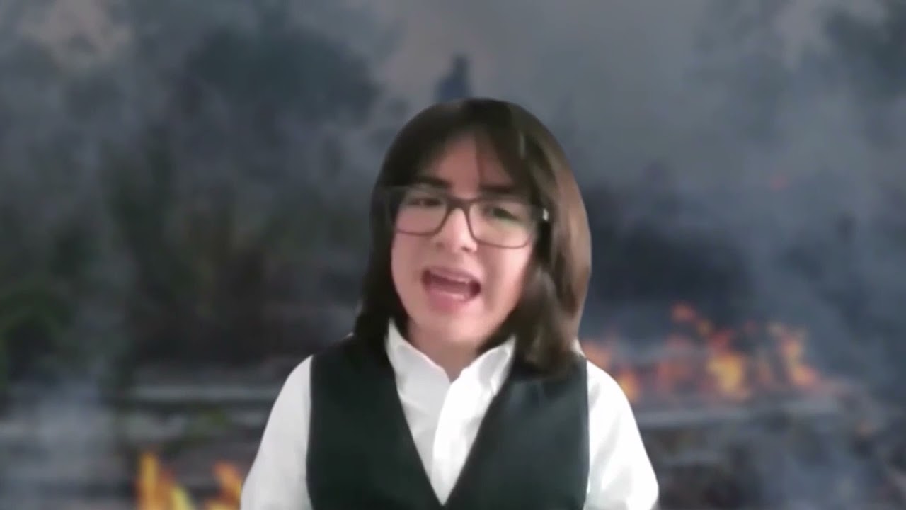 daños que causa el poliestireno