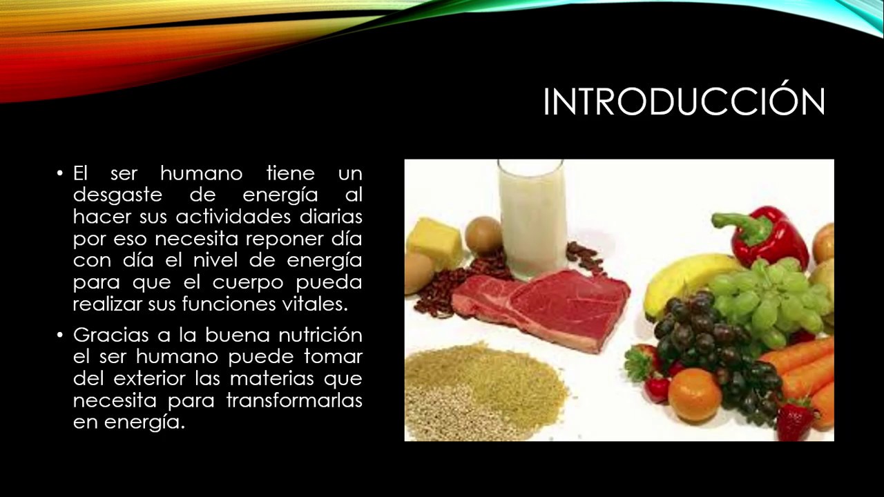 de donde obtiene la energia el cuerpo humano proyecto conclusion