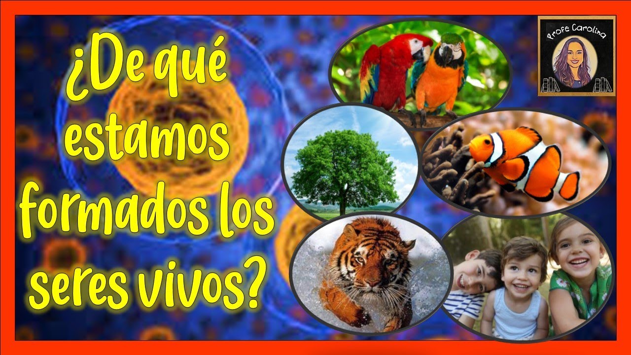 de qué están formados los seres vivos