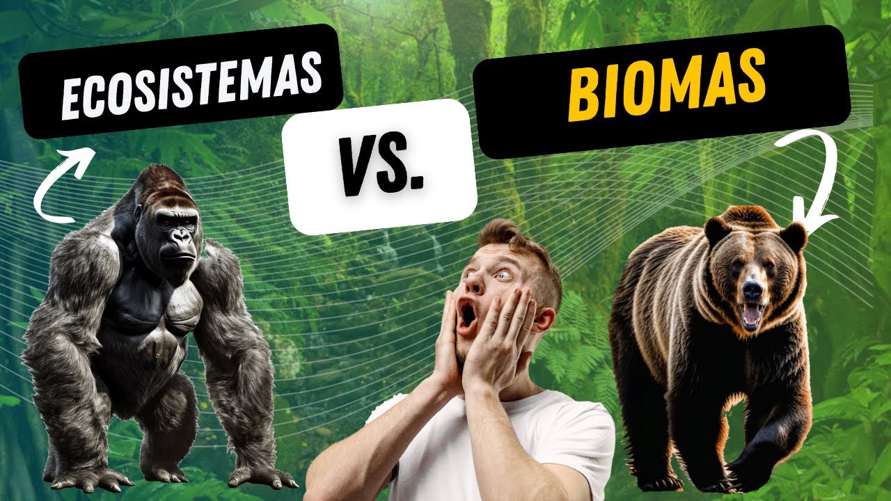 diferencia entre biosfera y bioma