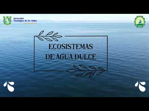flora y fauna de agua dulce