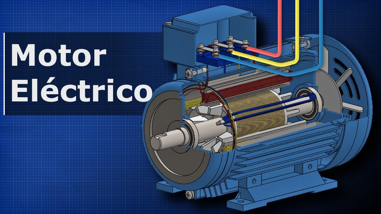funcion del estator de un motor electrico